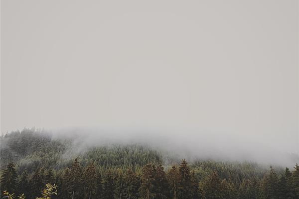 南宁崇左旅游攻略必玩的景点